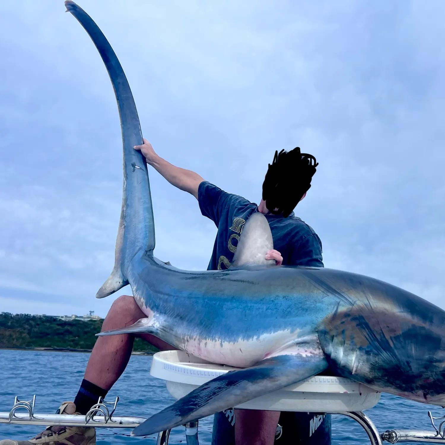 The most recent Common thresher catches on Fishbrain