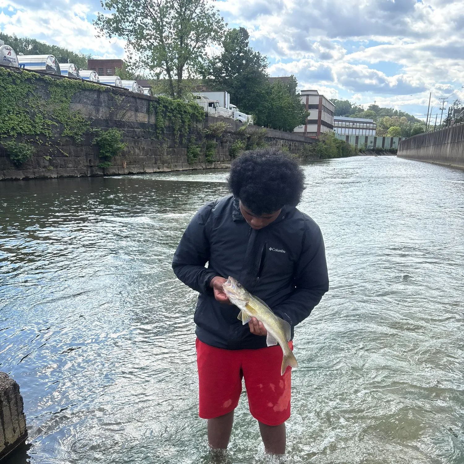 catch
