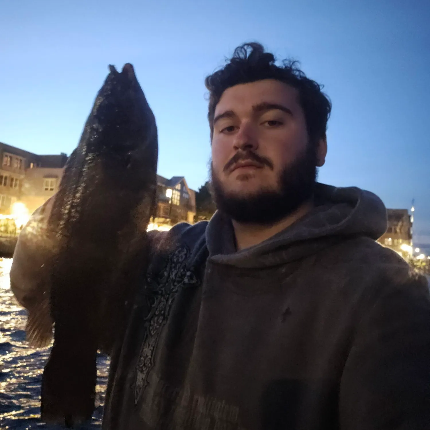 The most recent Cunner catches on Fishbrain