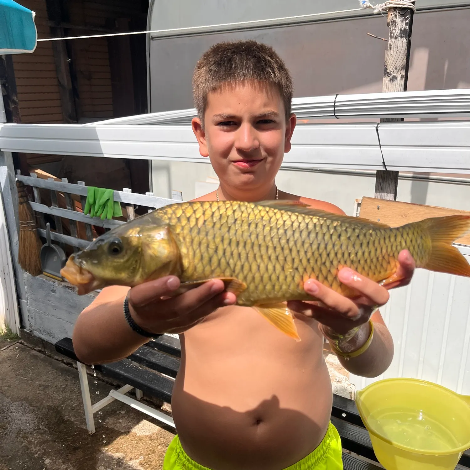 Common carp caught on Fishbrain
