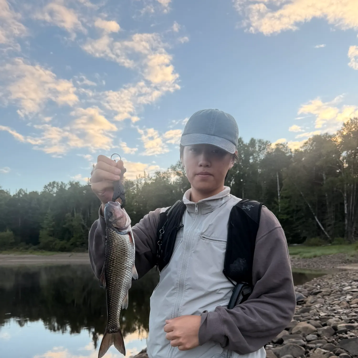 Fallfish caught on Fishbrain