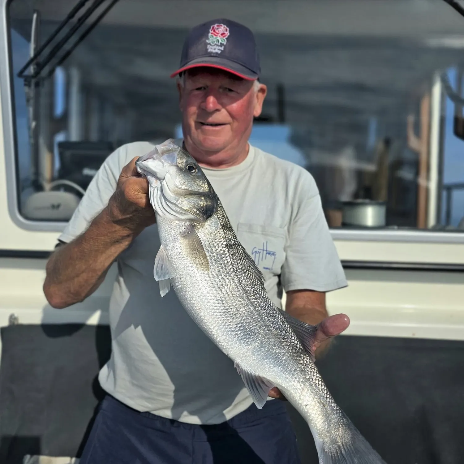 European seabass caught on Fishbrain