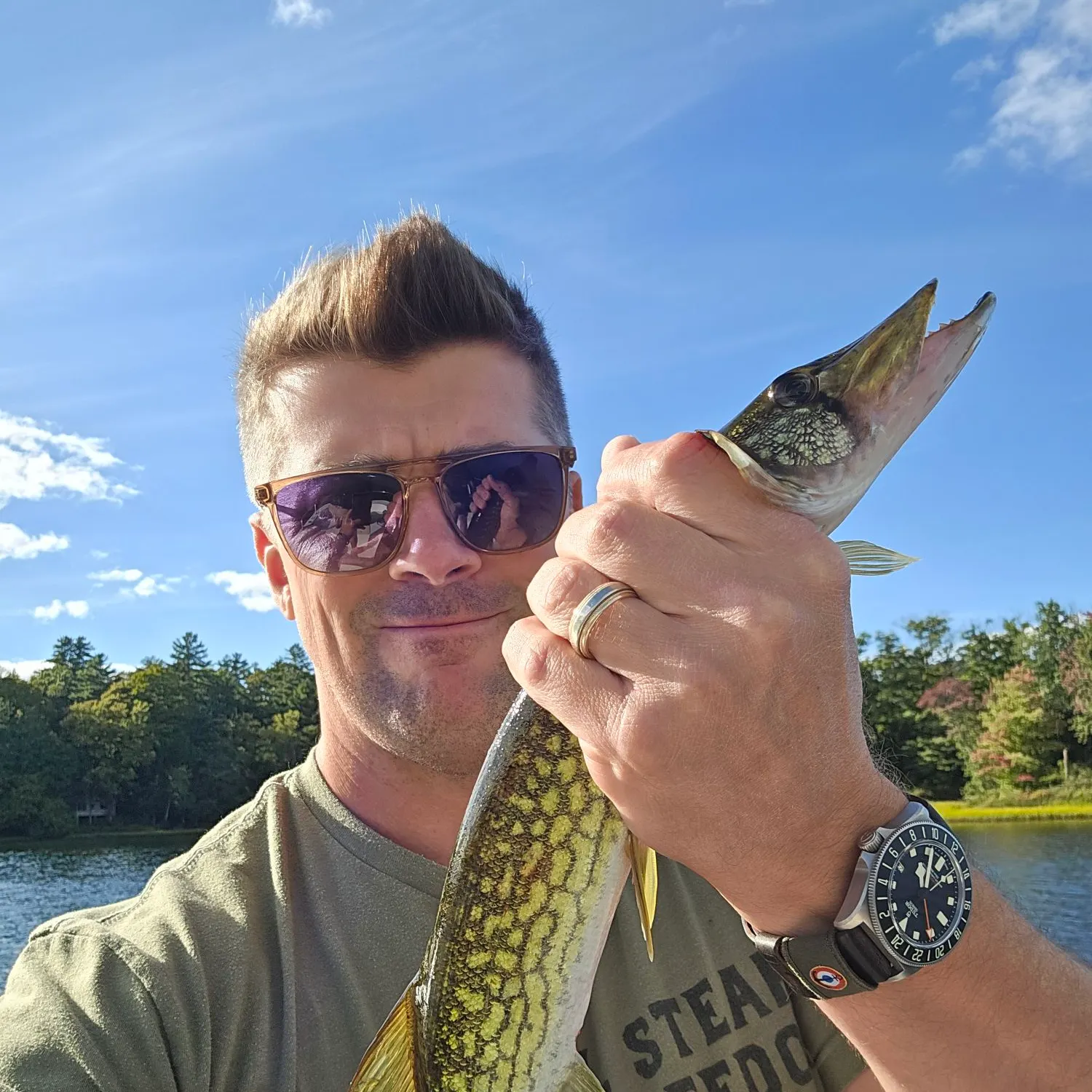 Chain pickerel caught on Fishbrain
