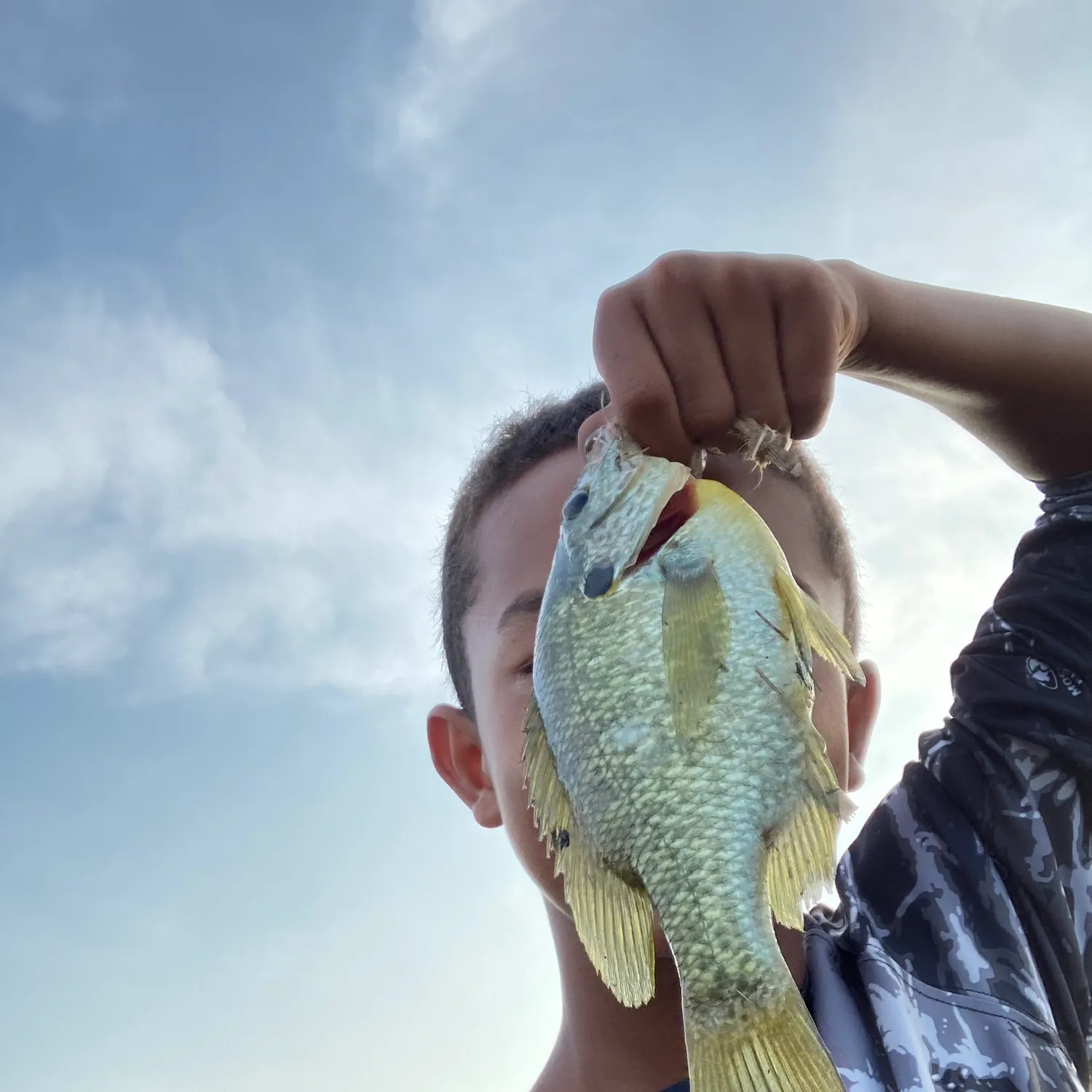 catch