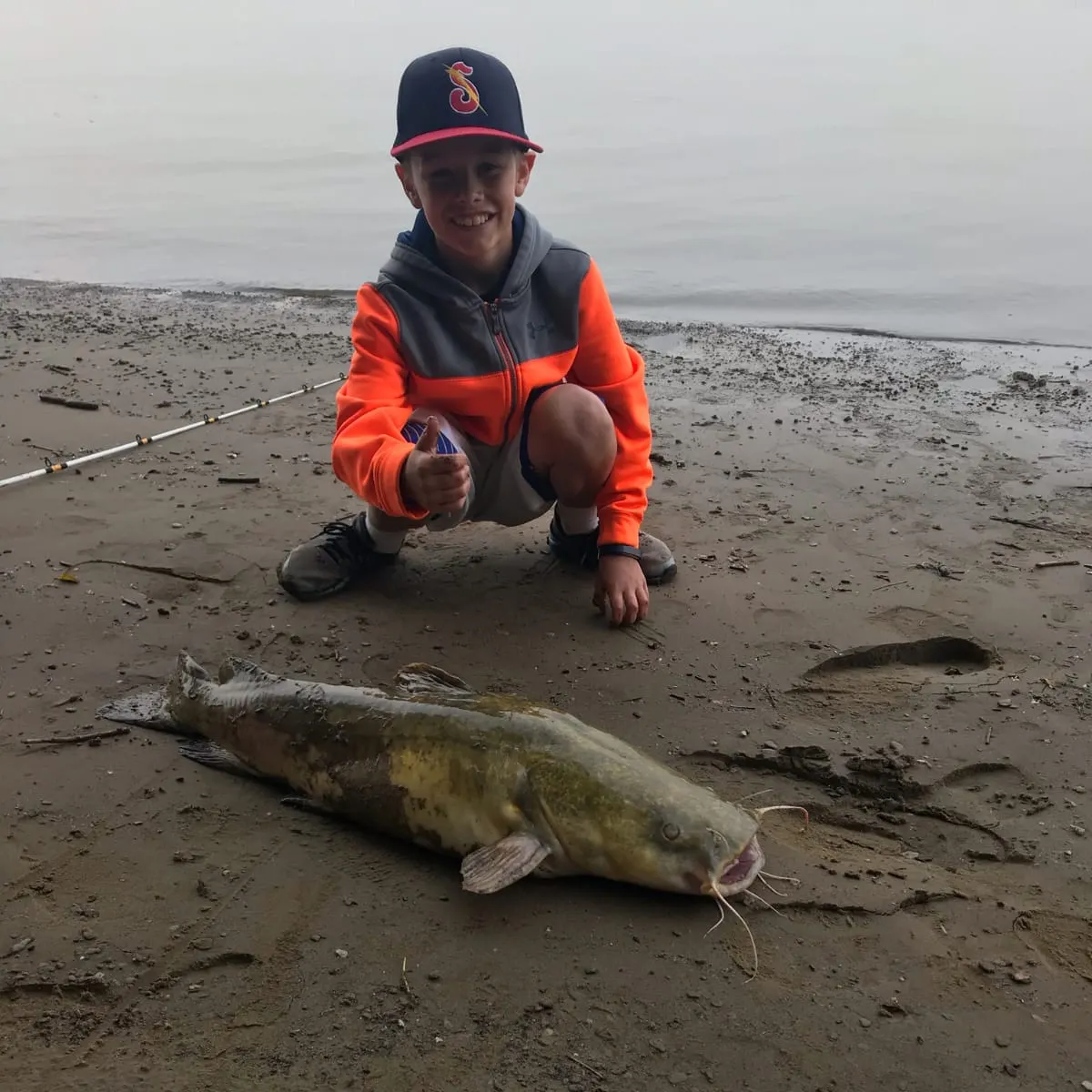 The most recent Flathead catfish catches on Fishbrain