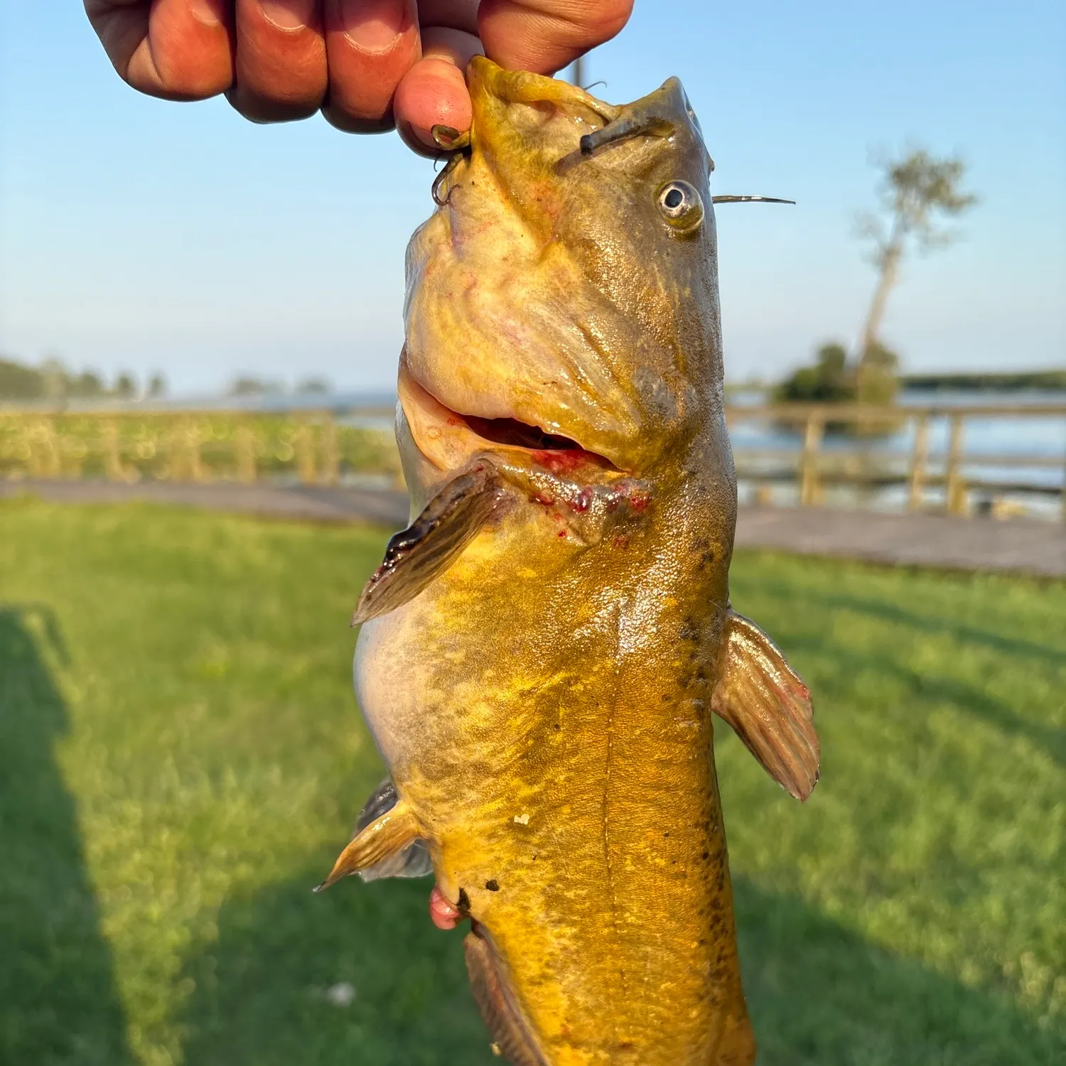 catch