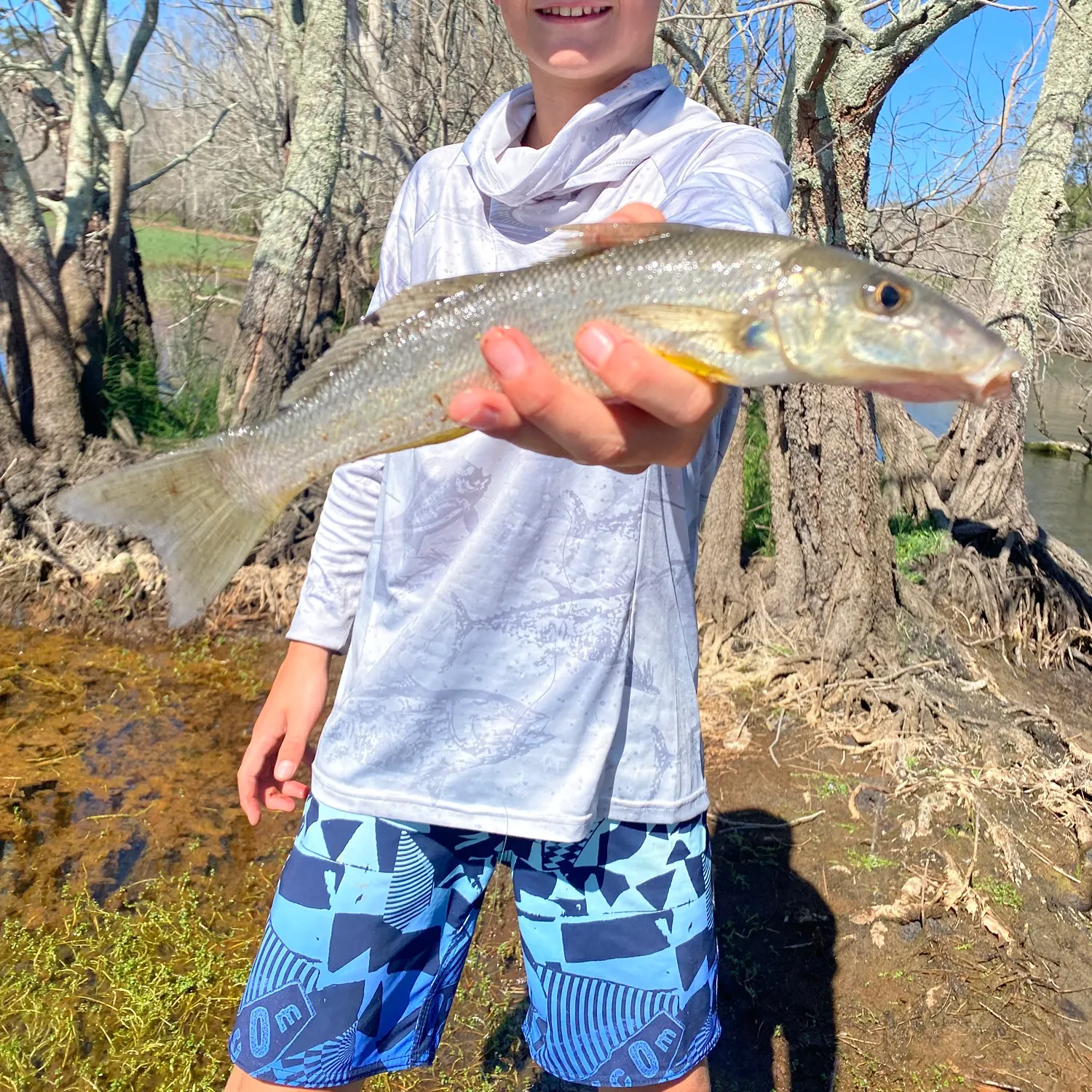 The most recent Sand sillago catches on Fishbrain