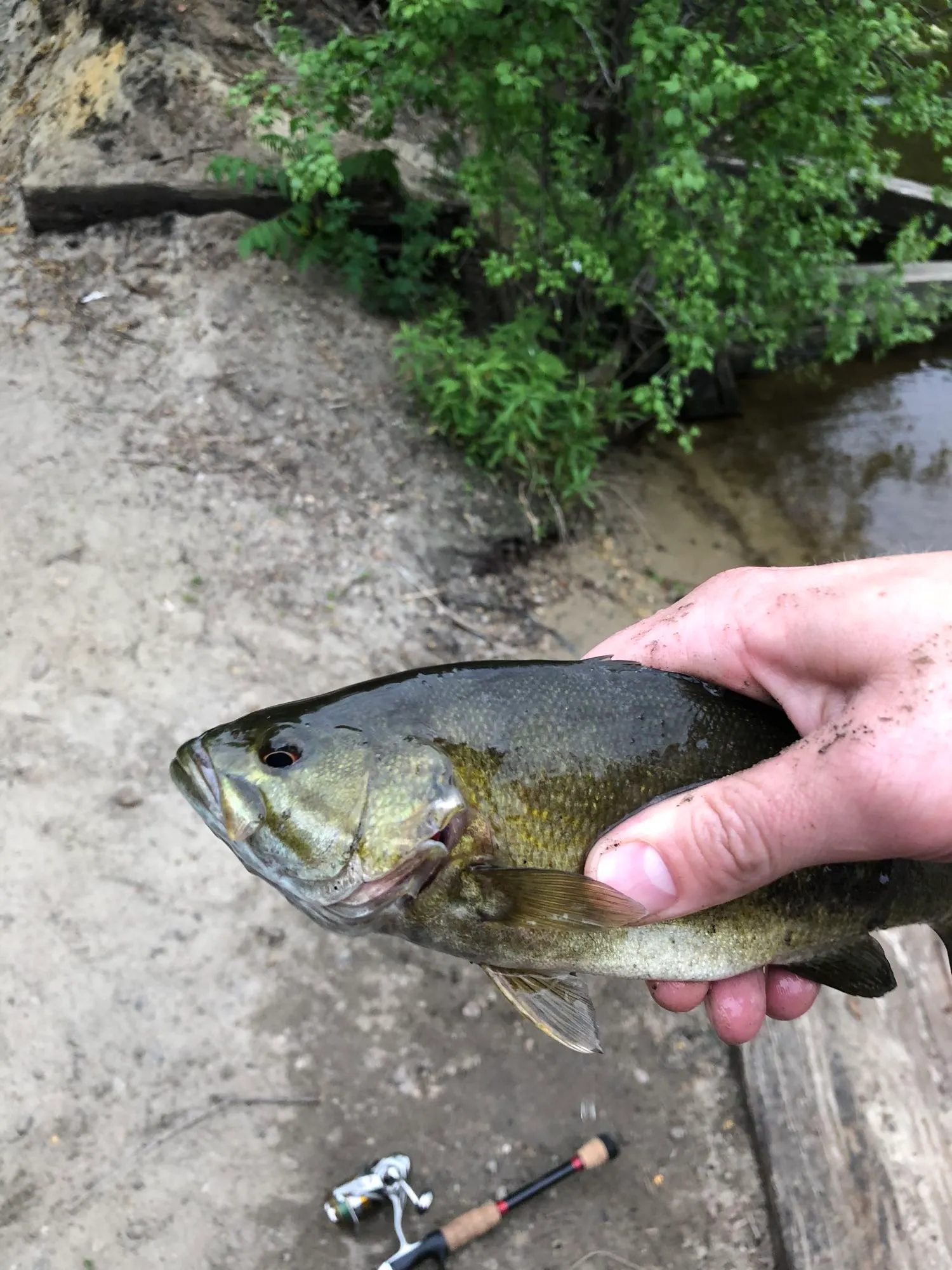 Post image from teenagemustach3