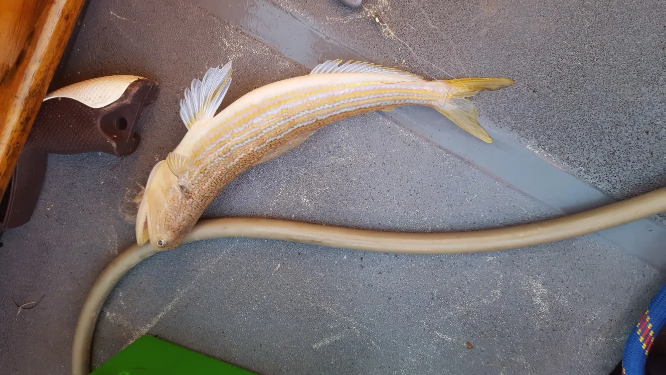 Post image from taitken7593