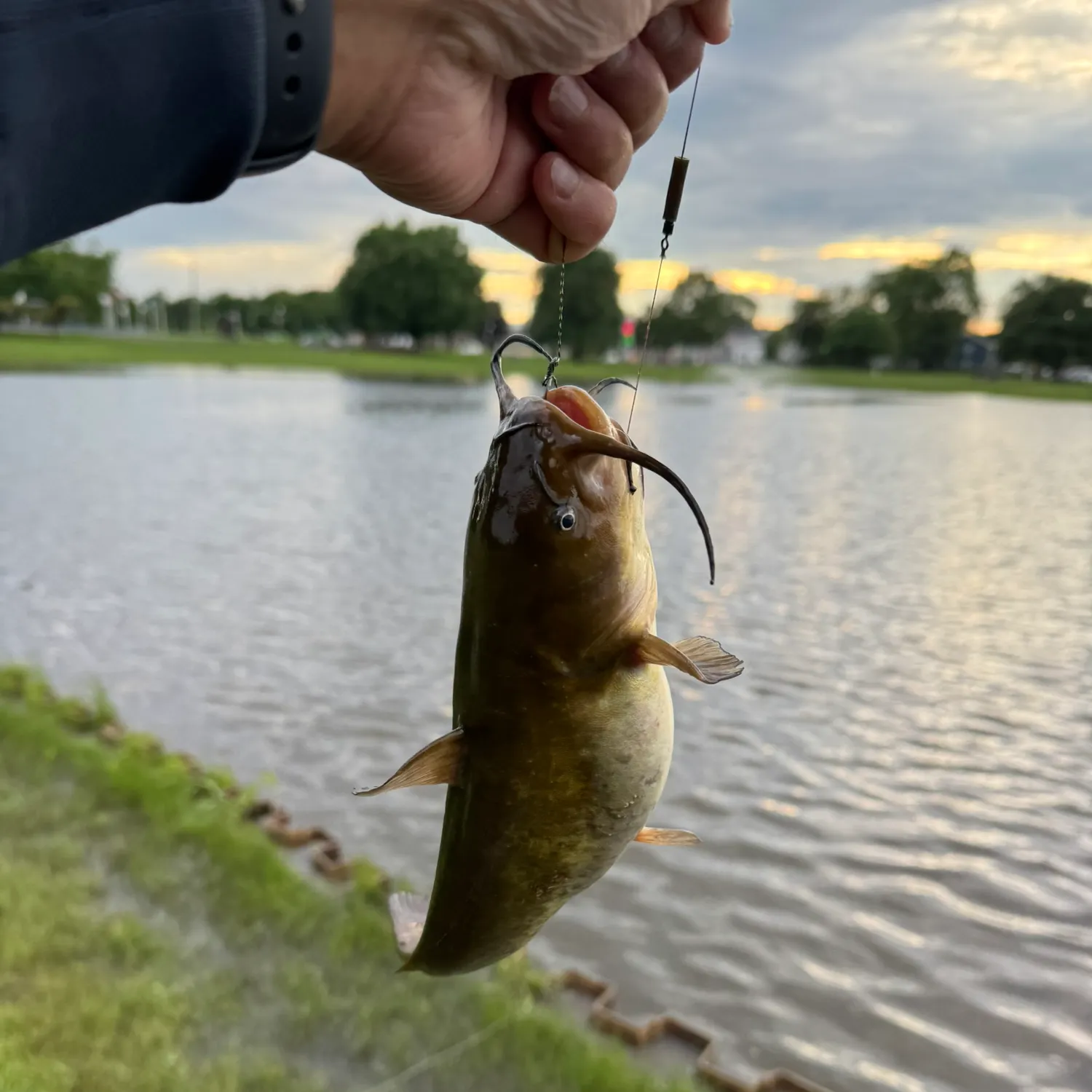 catch