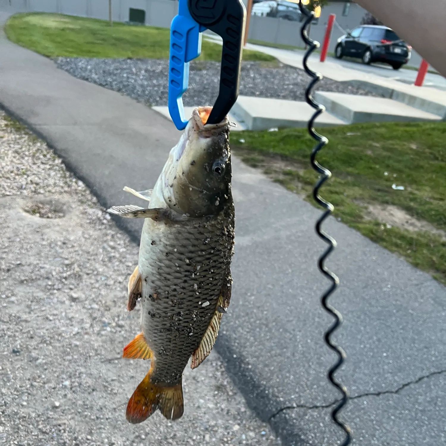 catch