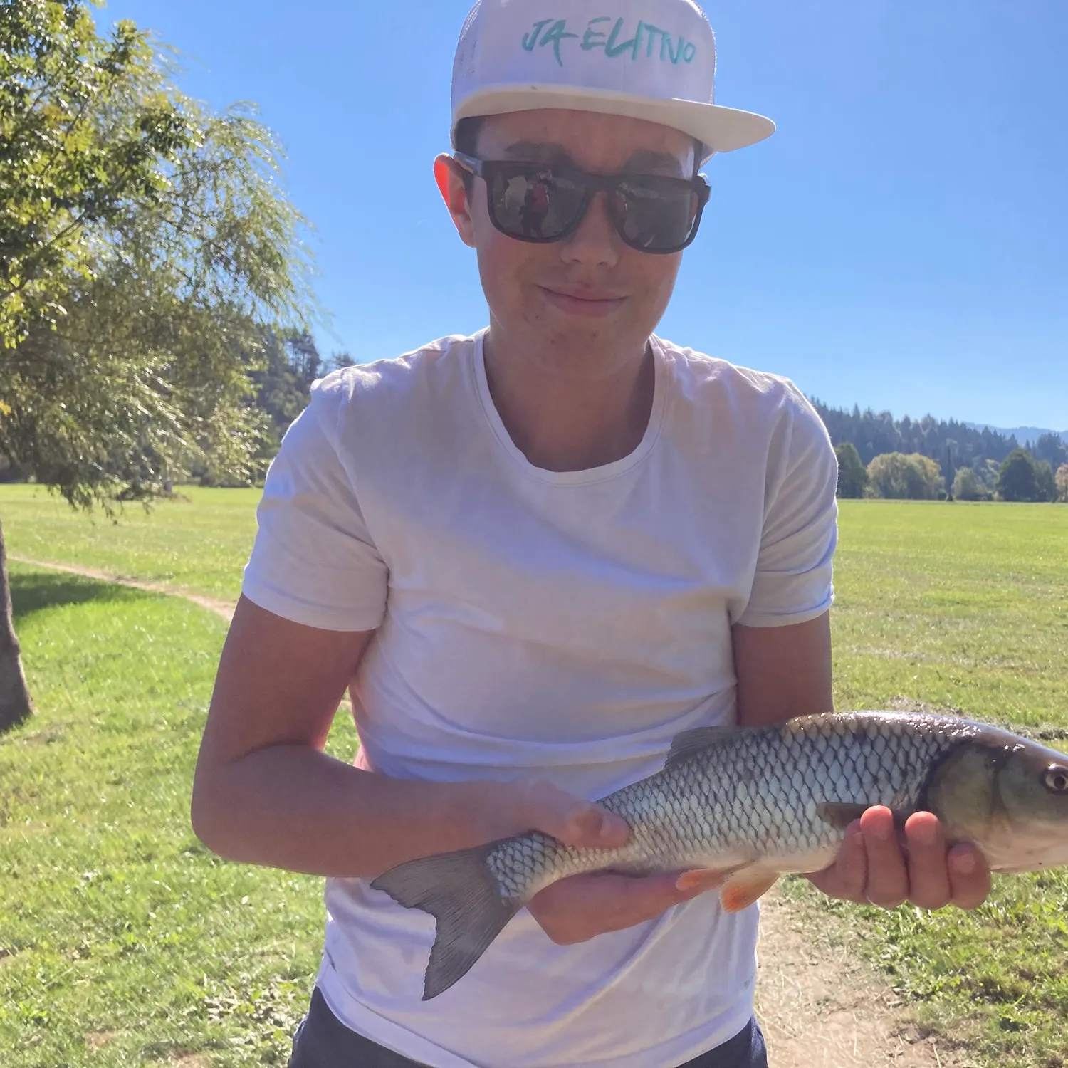 European chub caught on Fishbrain