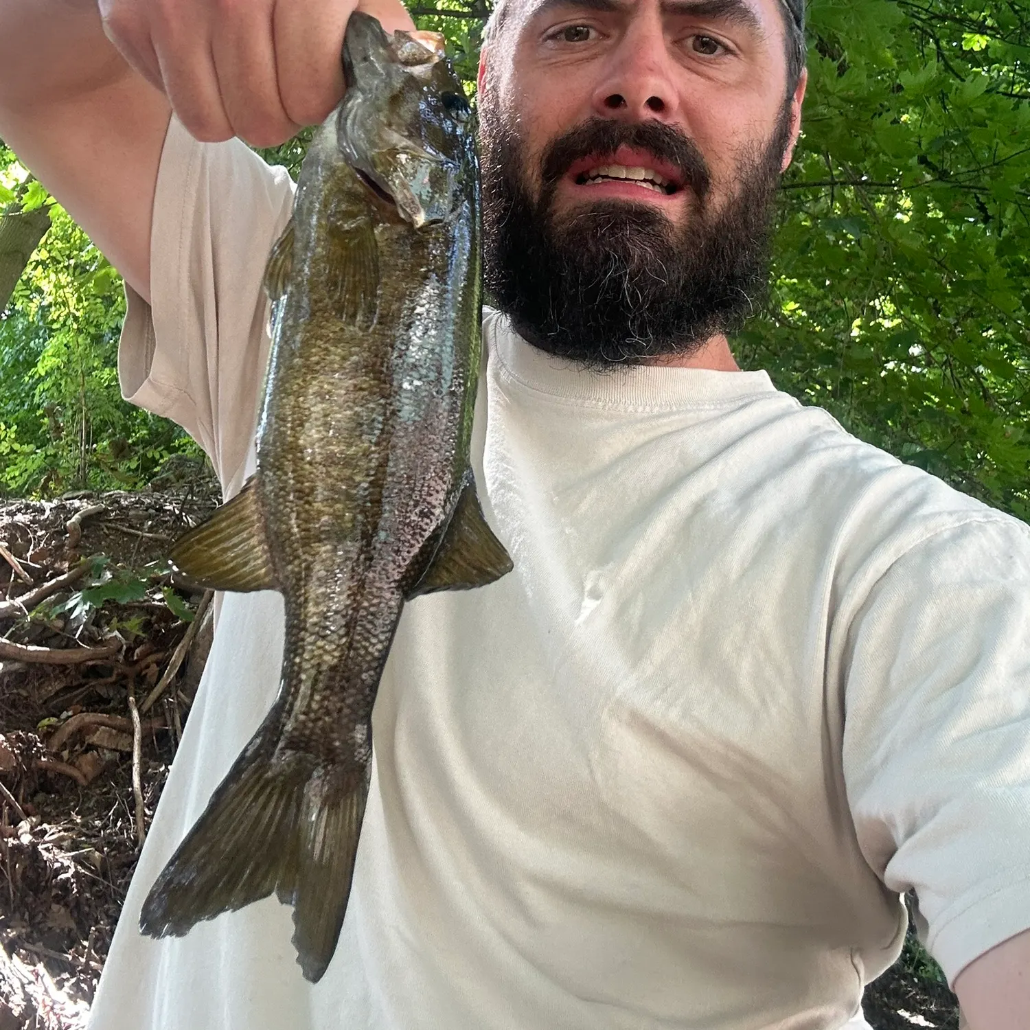 Smallmouth bass caught on Fishbrain