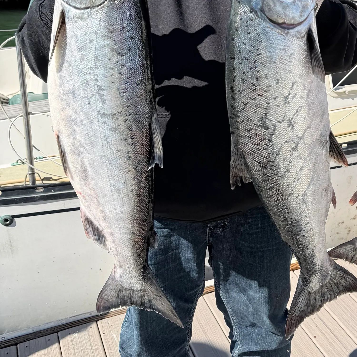 Chinook salmon caught on Fishbrain