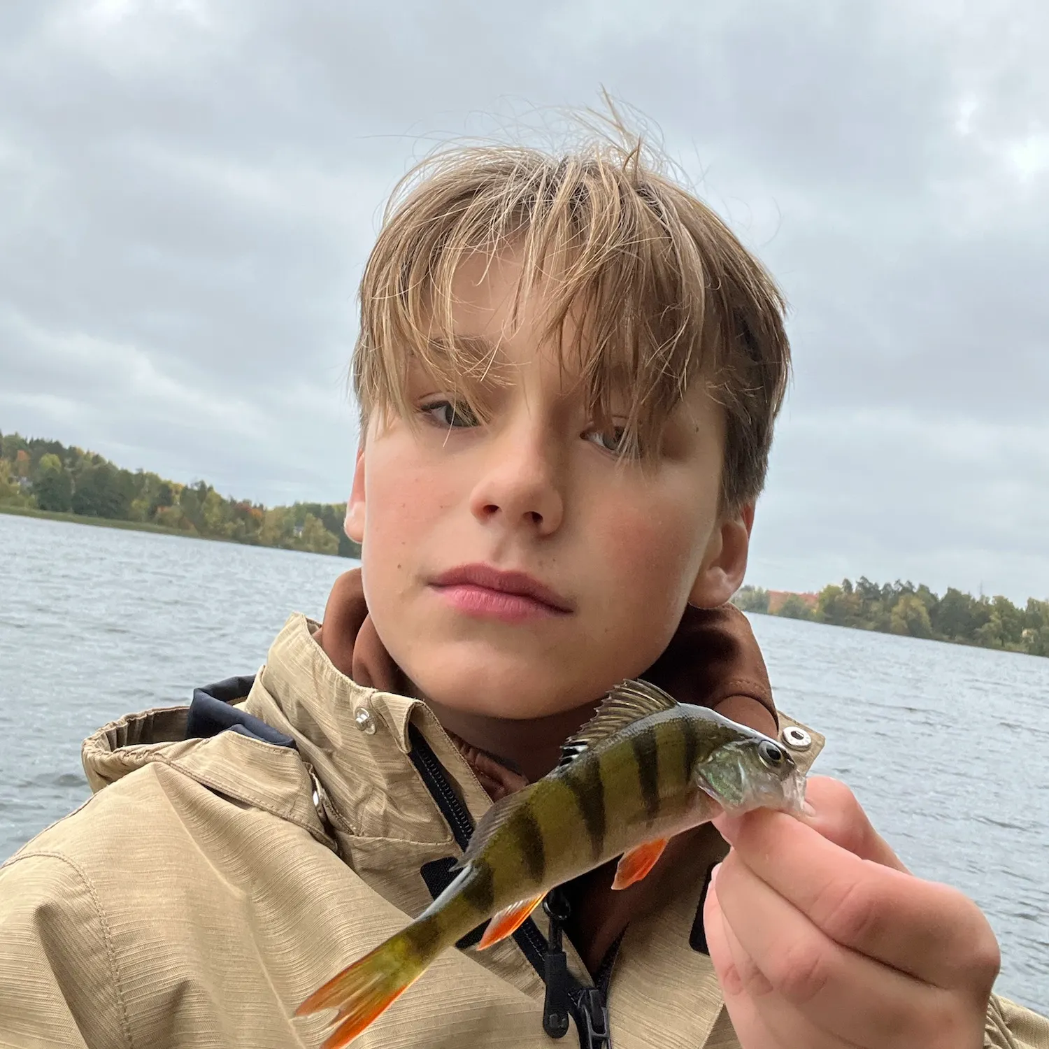European perch caught on Fishbrain