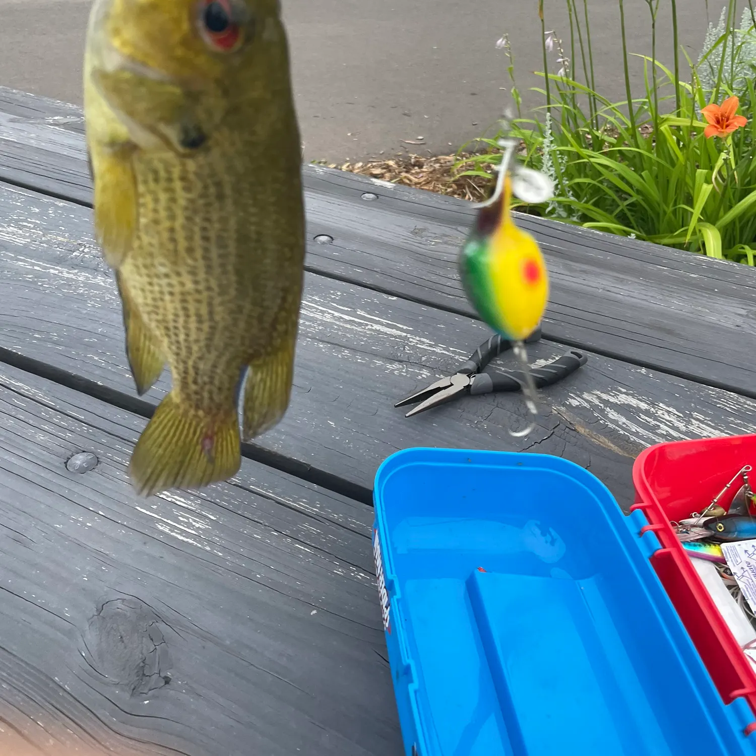 catch