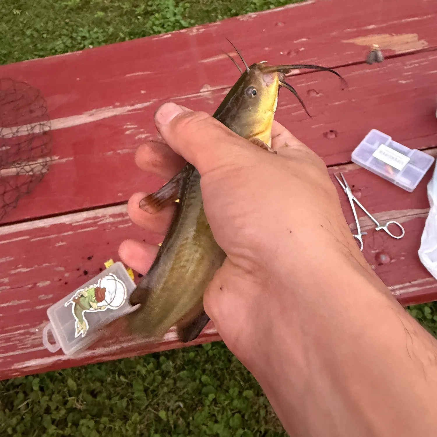 catch