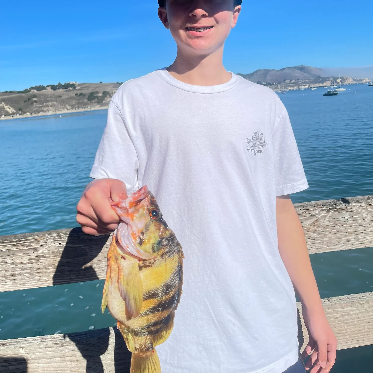 The most recent Treefish catches on Fishbrain