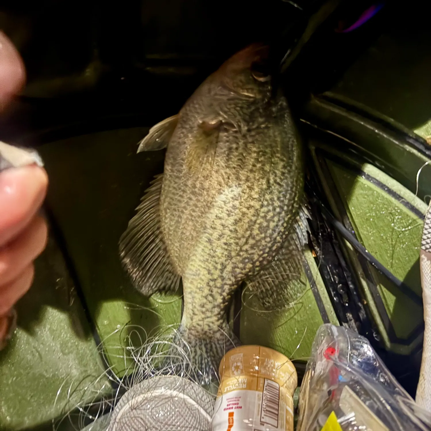 The most recent Black crappie catches on Fishbrain