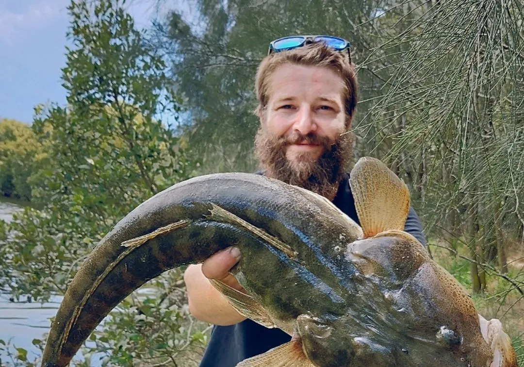 Dusky flathead