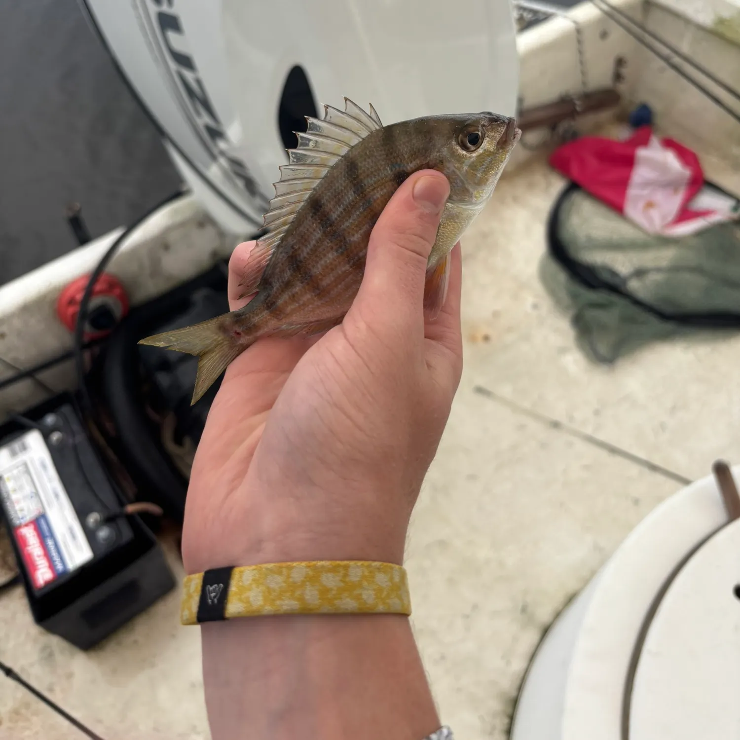 catch