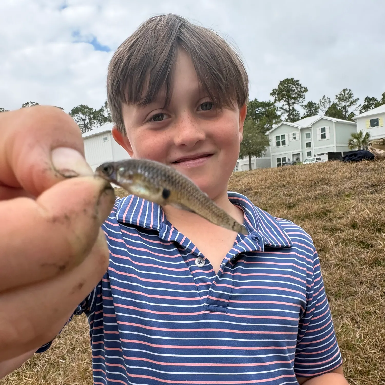 The most recent Fathead minnow catches on Fishbrain