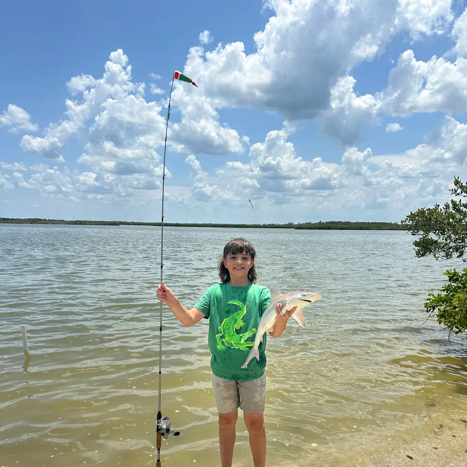 The most recent Dusky shark catches on Fishbrain