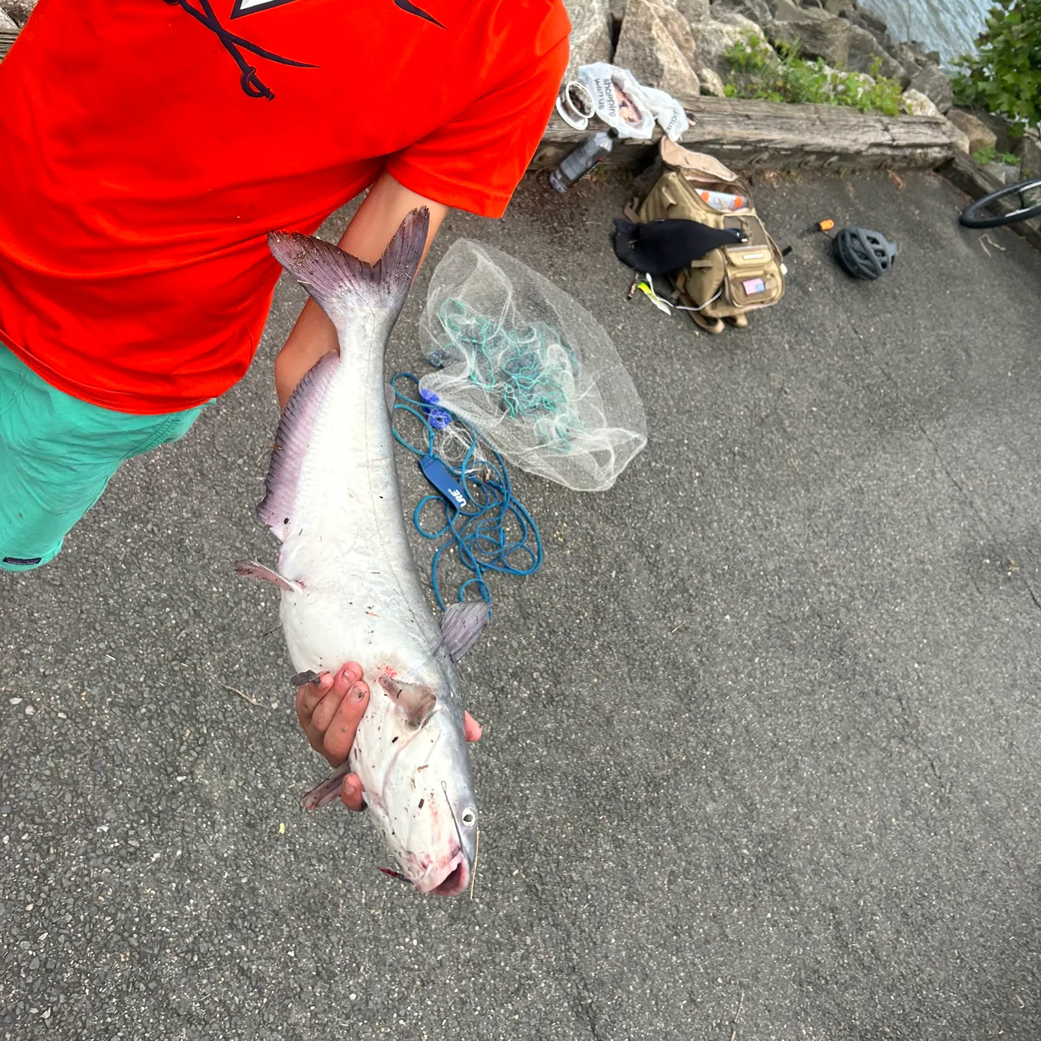 catch