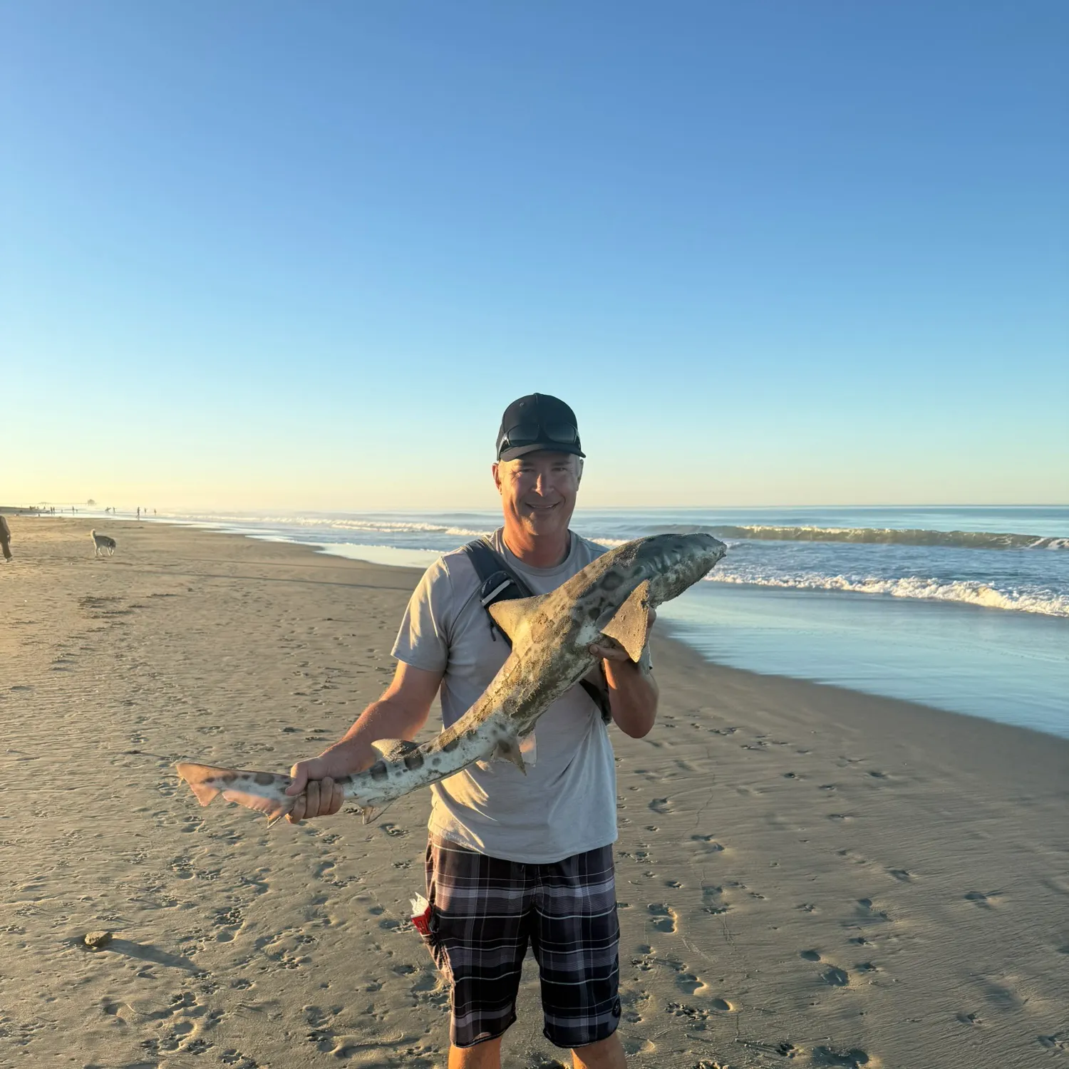 Leopard shark caught on Fishbrain