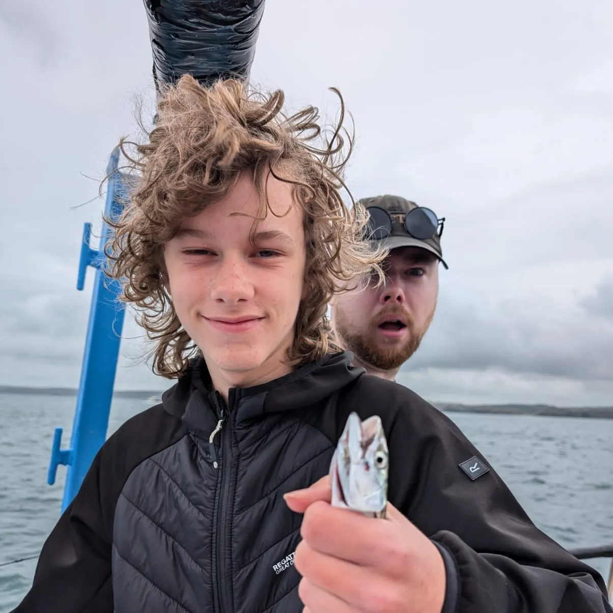 Atlantic mackerel caught on Fishbrain