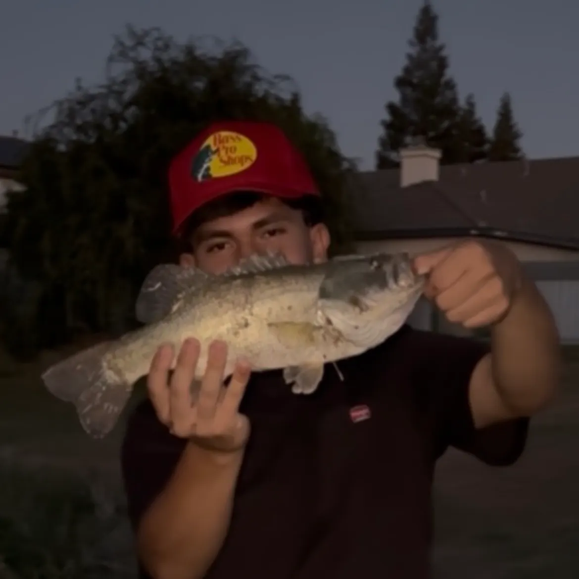 Largemouth bass caught on Fishbrain