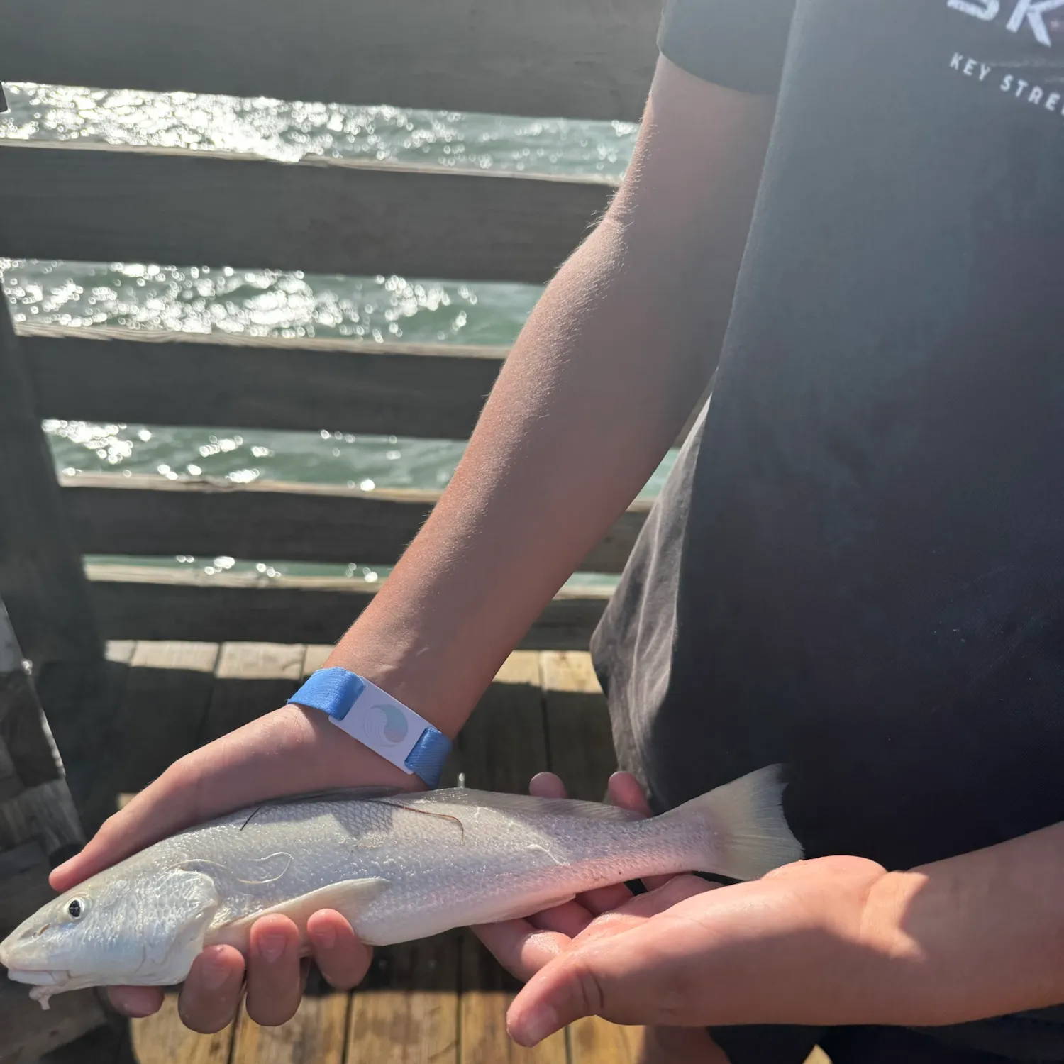 The most recent Gulf kingcroaker catches on Fishbrain