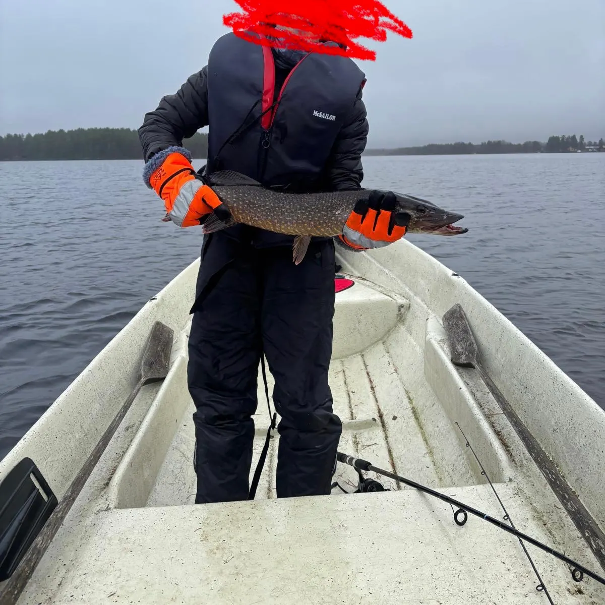 Northern pike caught on Fishbrain