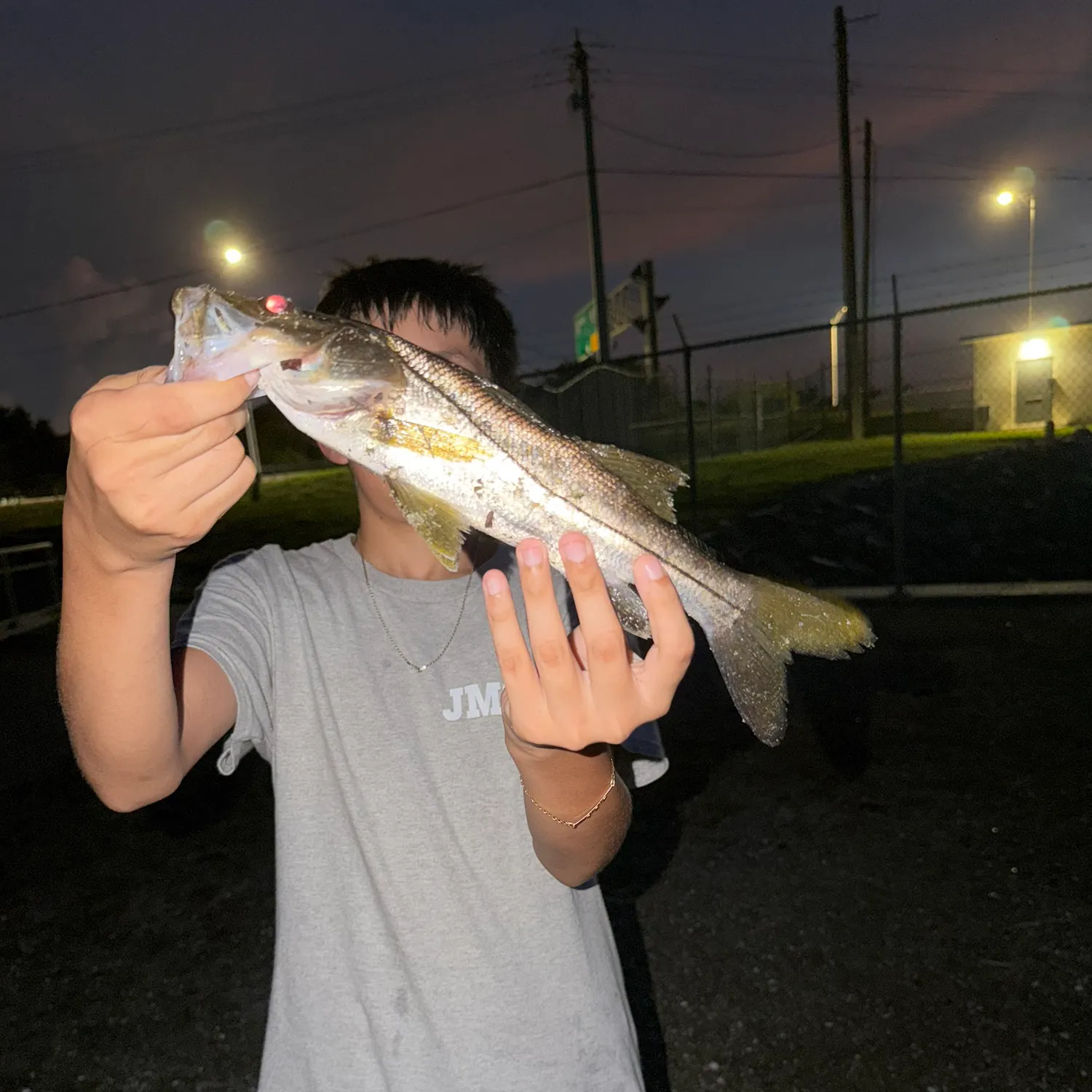 The most recent Swordspine Snook catches on Fishbrain