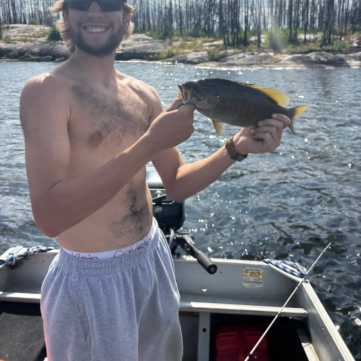 Smallmouth bass caught on Fishbrain
