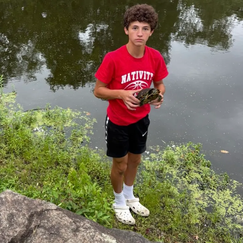 The most recent Painted turtle catches on Fishbrain