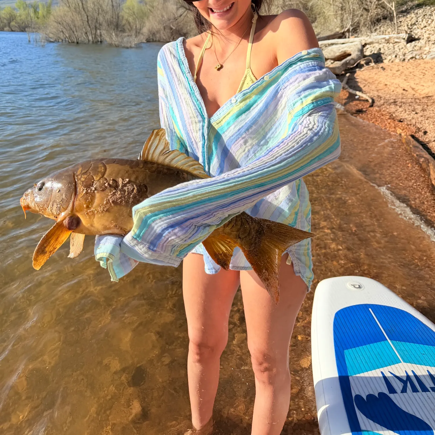The most recent Leather carp catches on Fishbrain