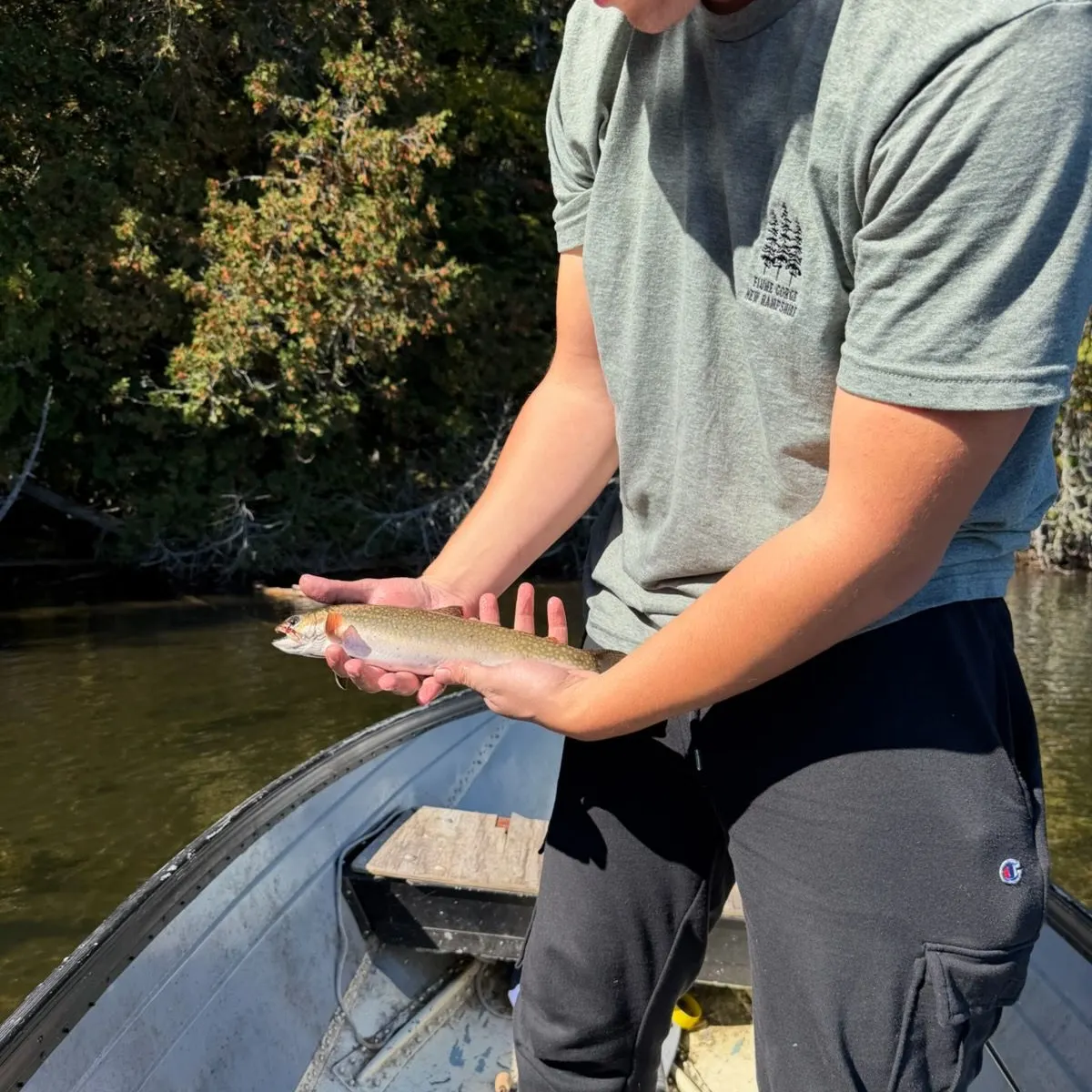 Brook trout caught on Fishbrain