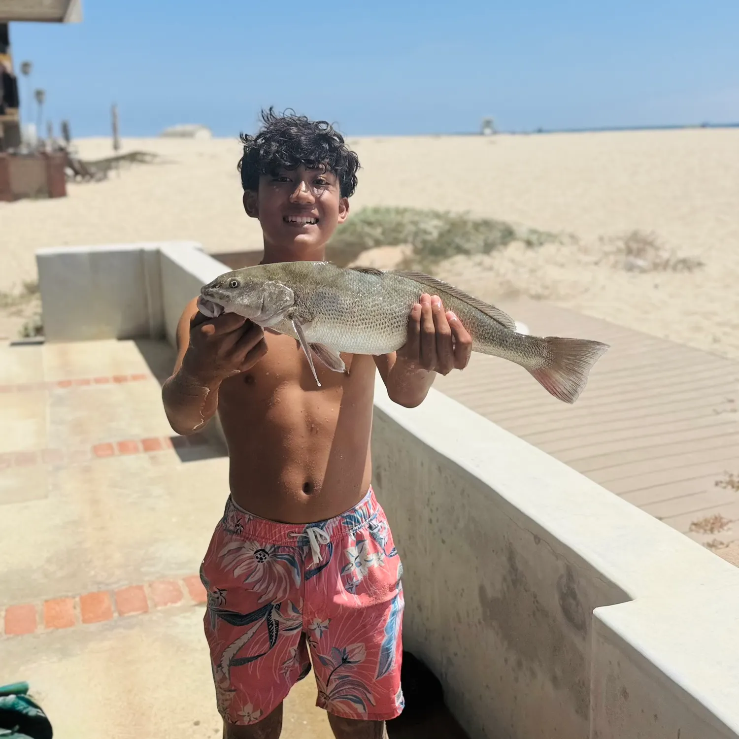 The most recent Whitemouth croaker catches on Fishbrain