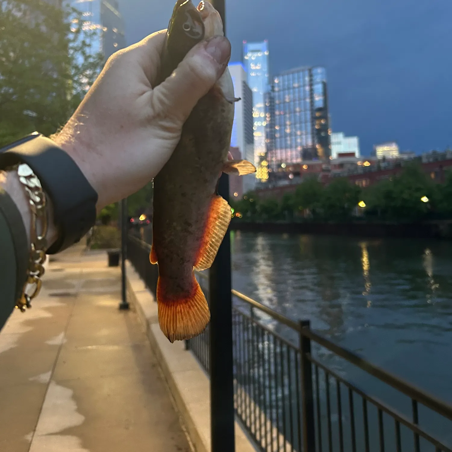 catch