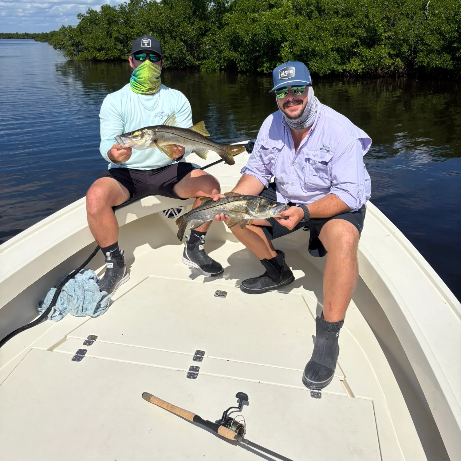 The most recent Common snook catches on Fishbrain