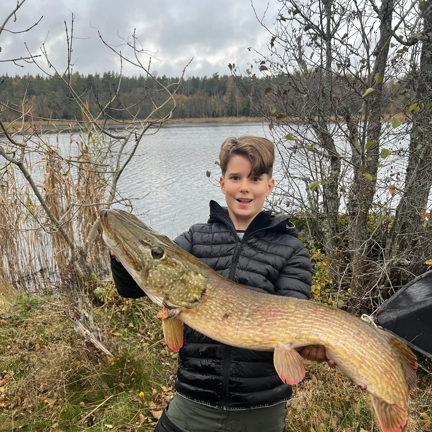Northern pike caught on Fishbrain