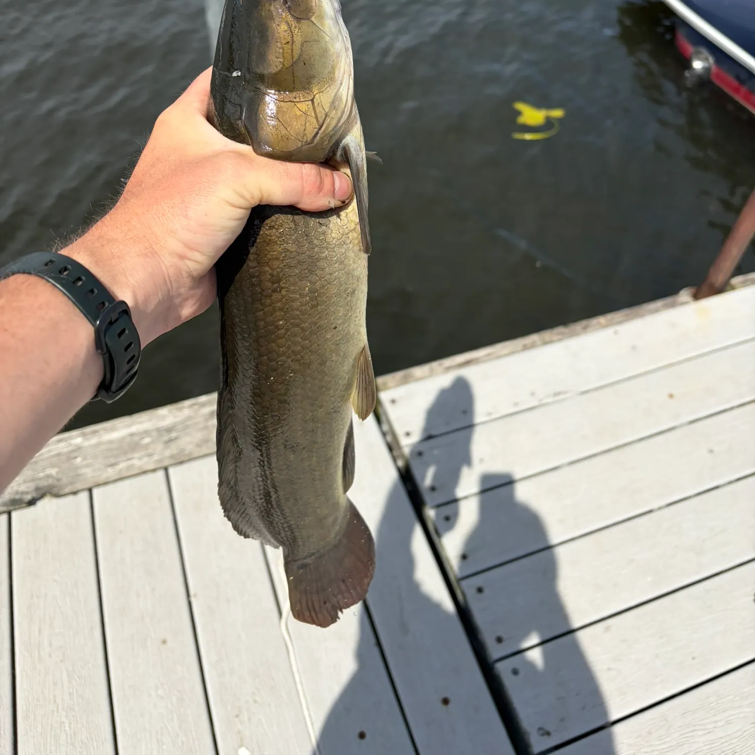 catch