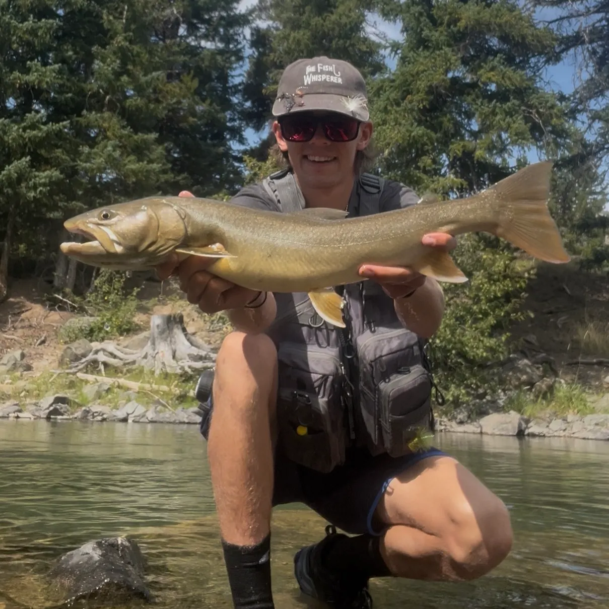 The most recent Bull trout catches on Fishbrain