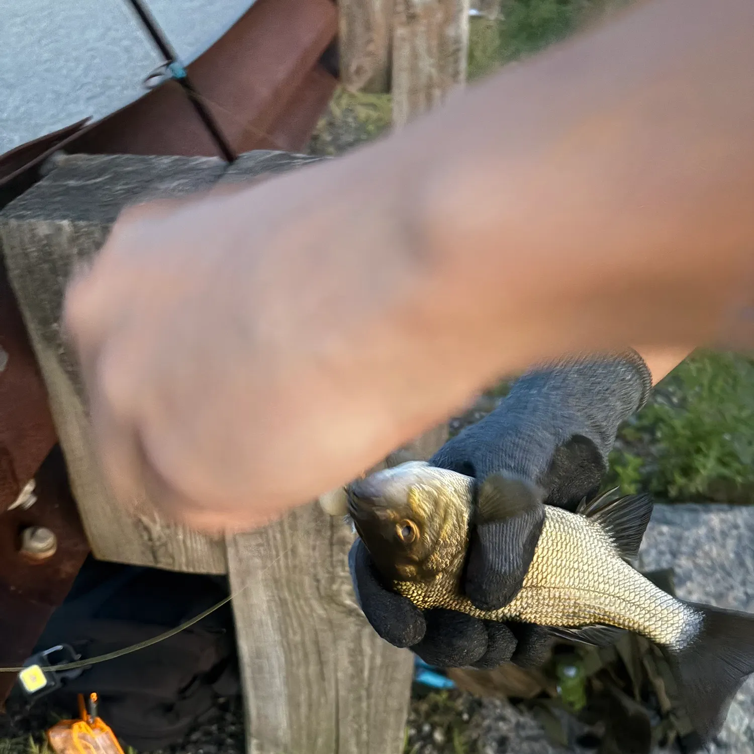 catch