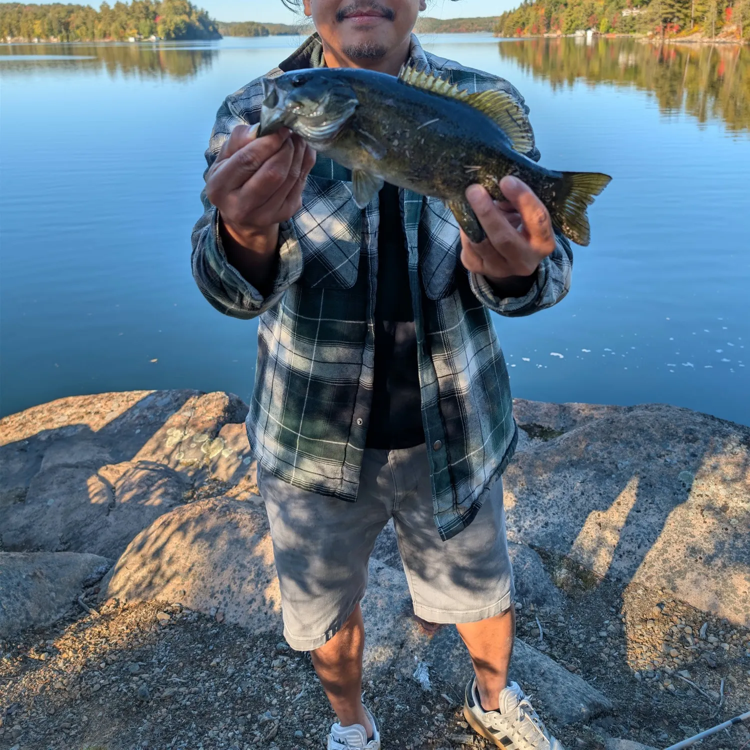 Smallmouth bass caught on Fishbrain
