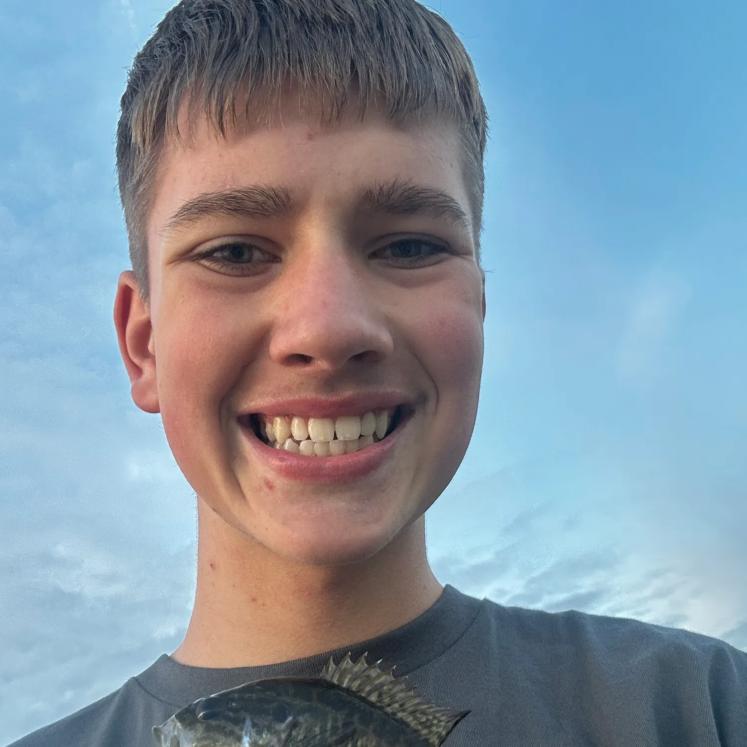 Warmouth caught on Fishbrain