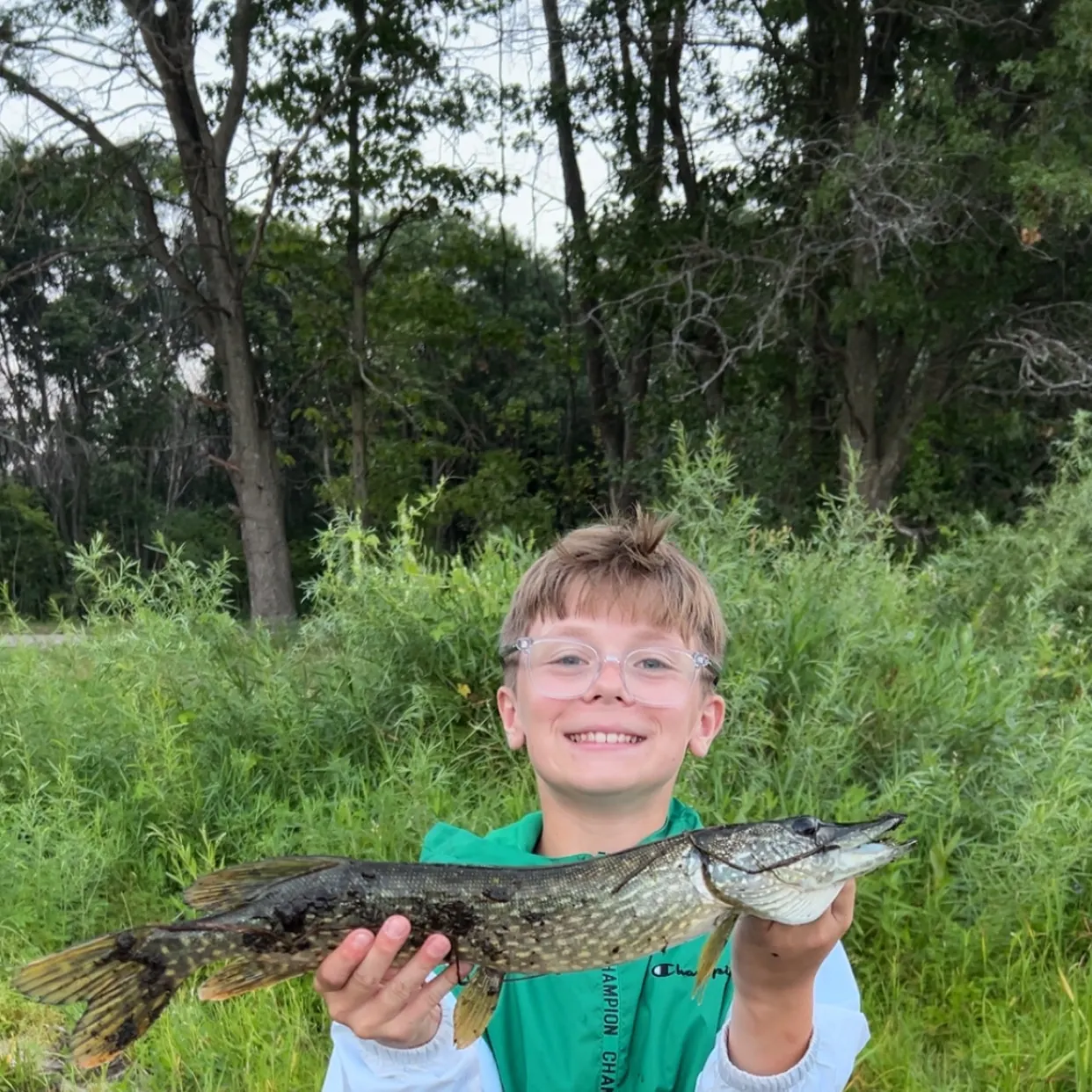 Northern pike caught on Fishbrain