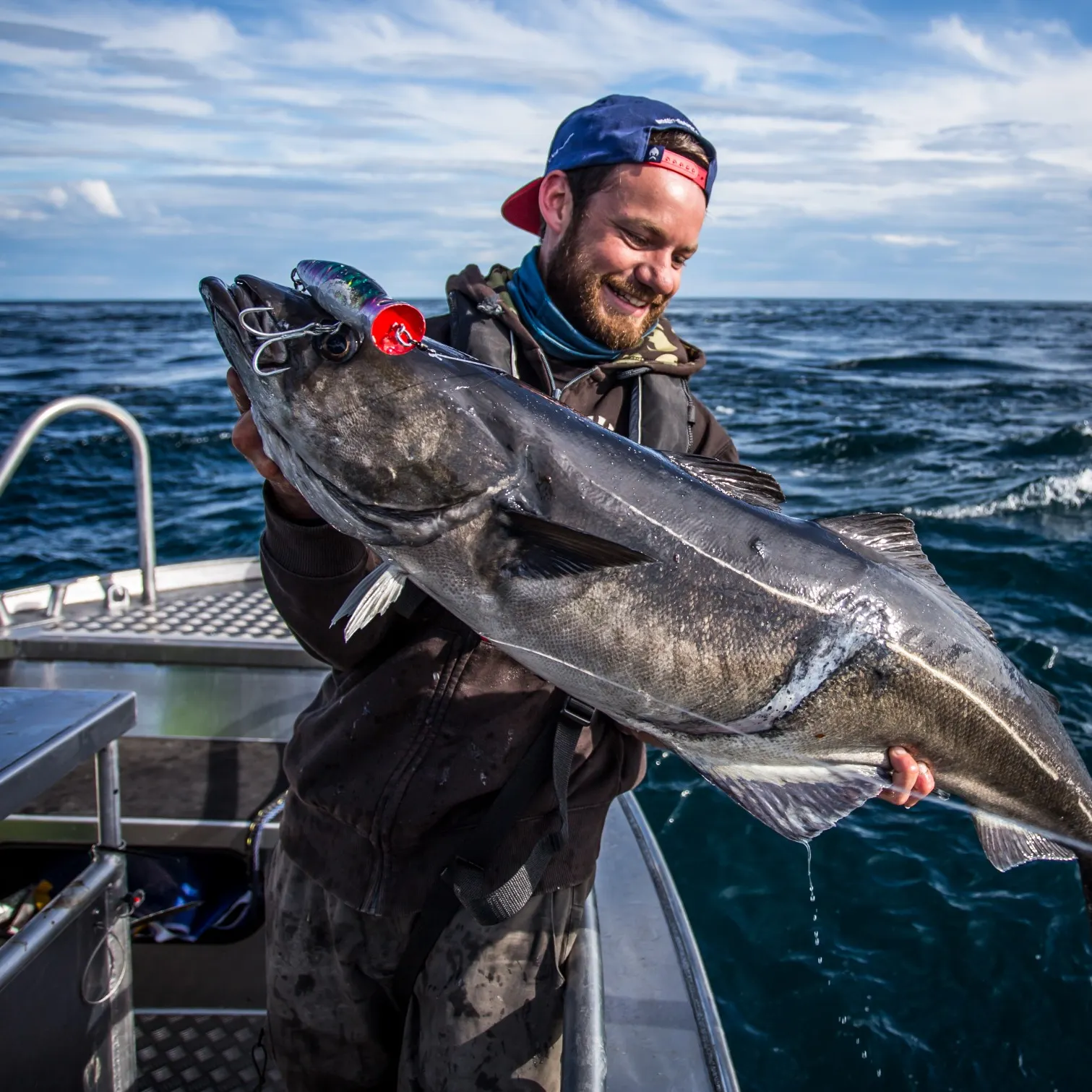 The most popular recent Atlantic pollock catch on Fishbrain