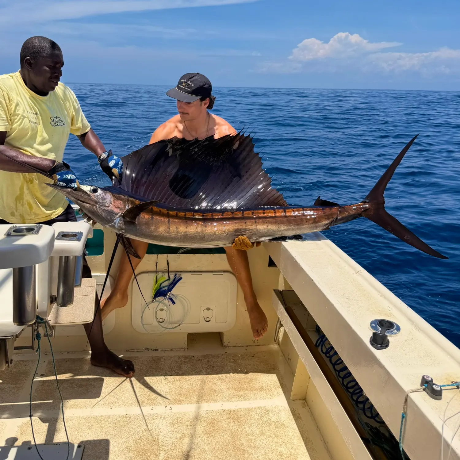 The most recent Indo-Pacific sailfish catches on Fishbrain